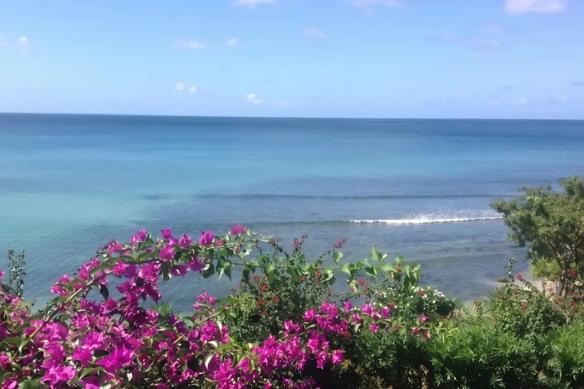  Image of Building Land for sale in Carriacou-Carriacou-Grenada, Image 16