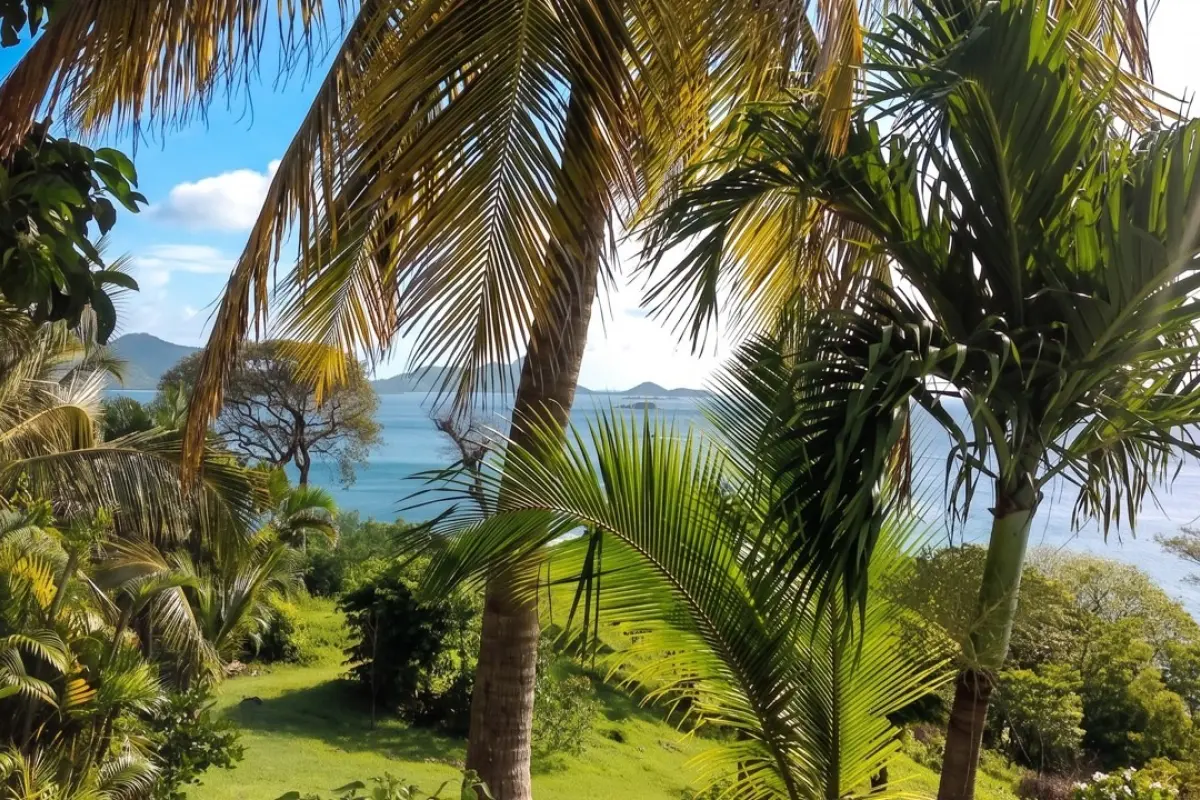 Image of Building Land for sale in Carriacou-Carriacou-Grenada, Image 19