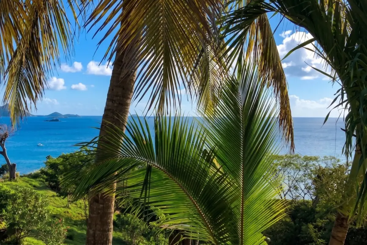 Image of Building Land for sale in Carriacou-Carriacou-Grenada, Image 20