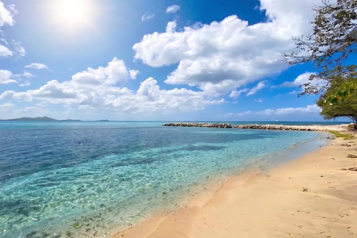  Image of Building Land for sale in Carriacou-Carriacou-Grenada, Image 22