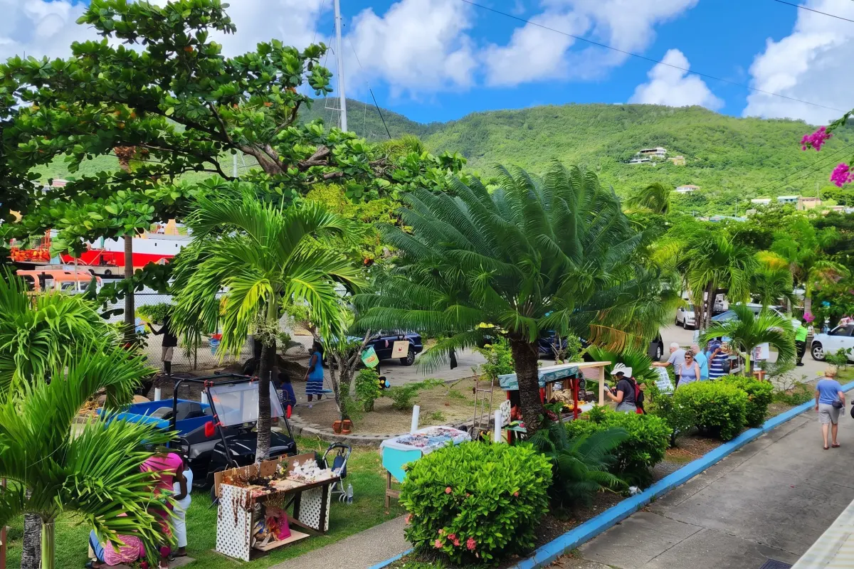  Image of Land for sale in Bequia-Friendship Bay-St. Vincent & the Grenadines, Image 8