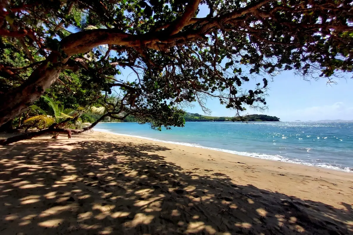  Image of Land for sale in Bequia-Friendship Bay-St. Vincent & the Grenadines, Image 11