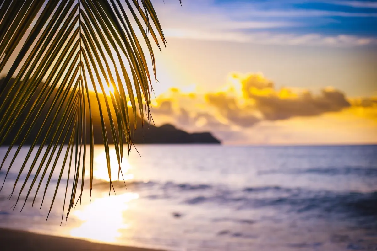  Image of Land for sale in Bequia-Friendship Bay-St. Vincent & the Grenadines, Image 16