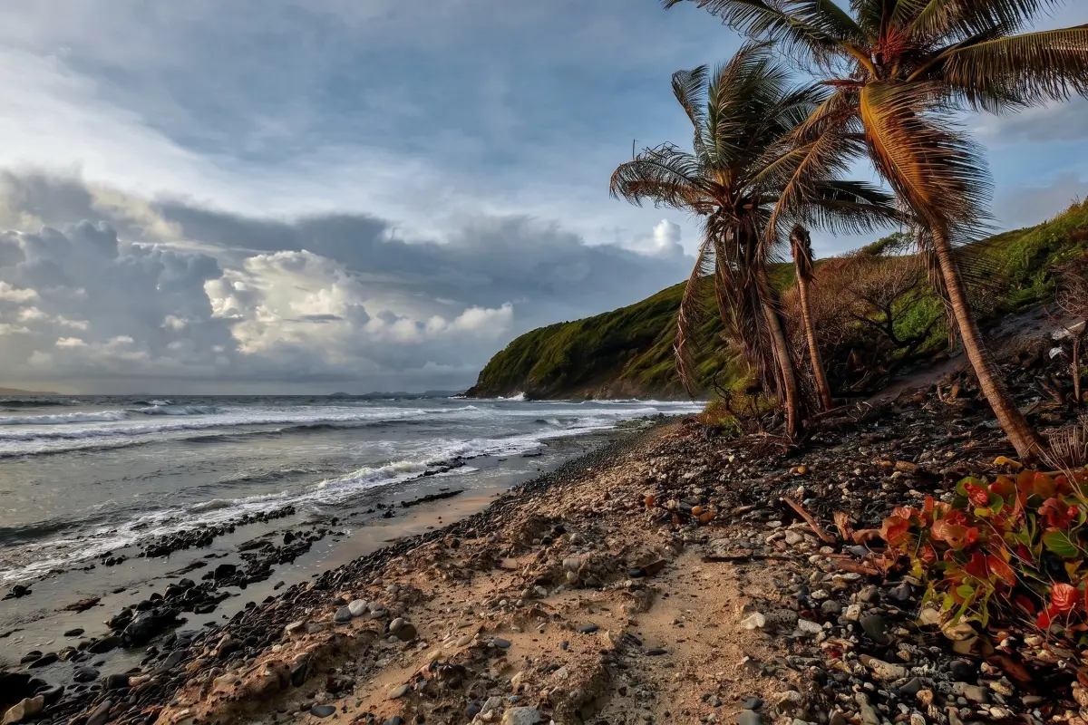  Image of Land for sale in Bequia-Friendship Bay-St. Vincent & the Grenadines, Image 20