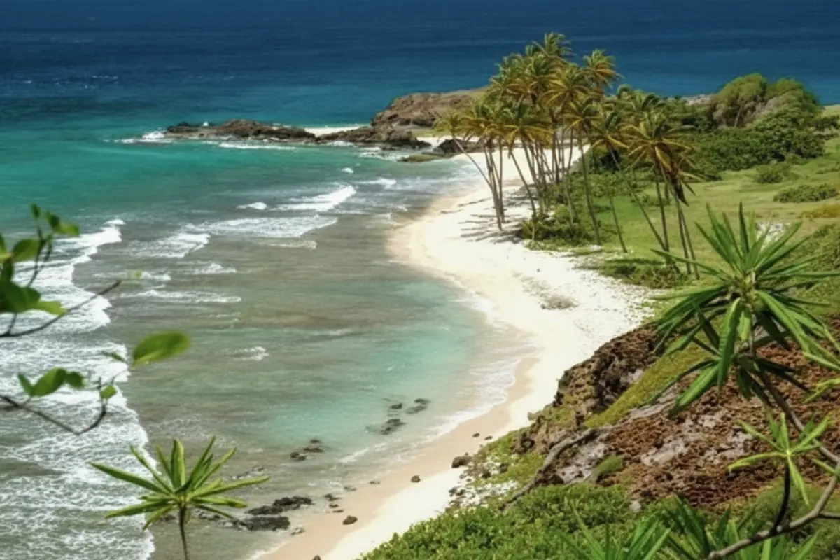 Image of Commercial for Sale in Grenadines-Petit Nevis-St. Vincent & the Grenadines, Image 3