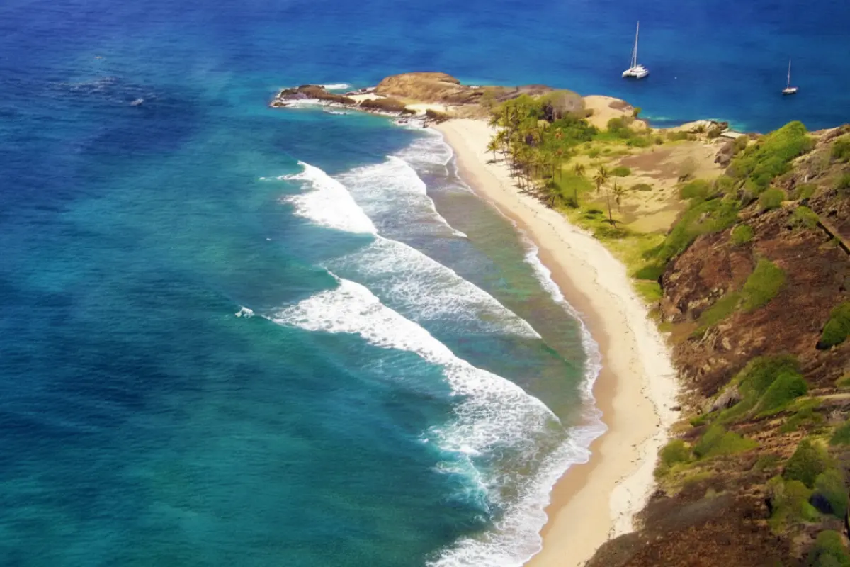 Image of Commercial for Sale in Grenadines-Petit Nevis-St. Vincent & the Grenadines, Image 4