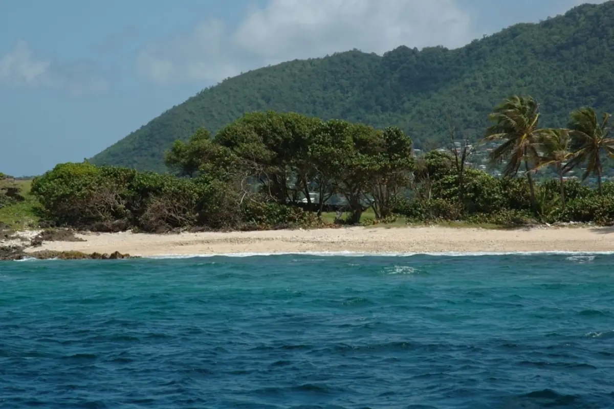  Image of Commercial for sale in Grenadines-Petit Nevis-St. Vincent & the Grenadines, Image 6