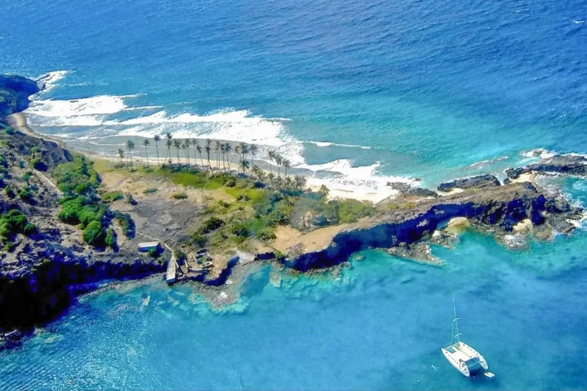  Image of Commercial for sale in Grenadines-Petit Nevis-St. Vincent & the Grenadines, Image 10