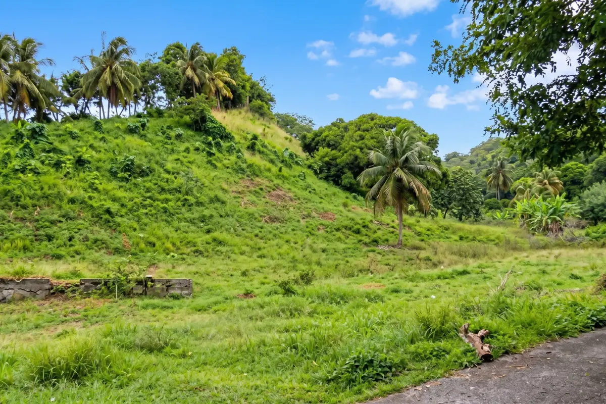 Image of Building Land for Sale in St. Vincent-Grand Sable-St. Vincent & the Grenadines, Image 1