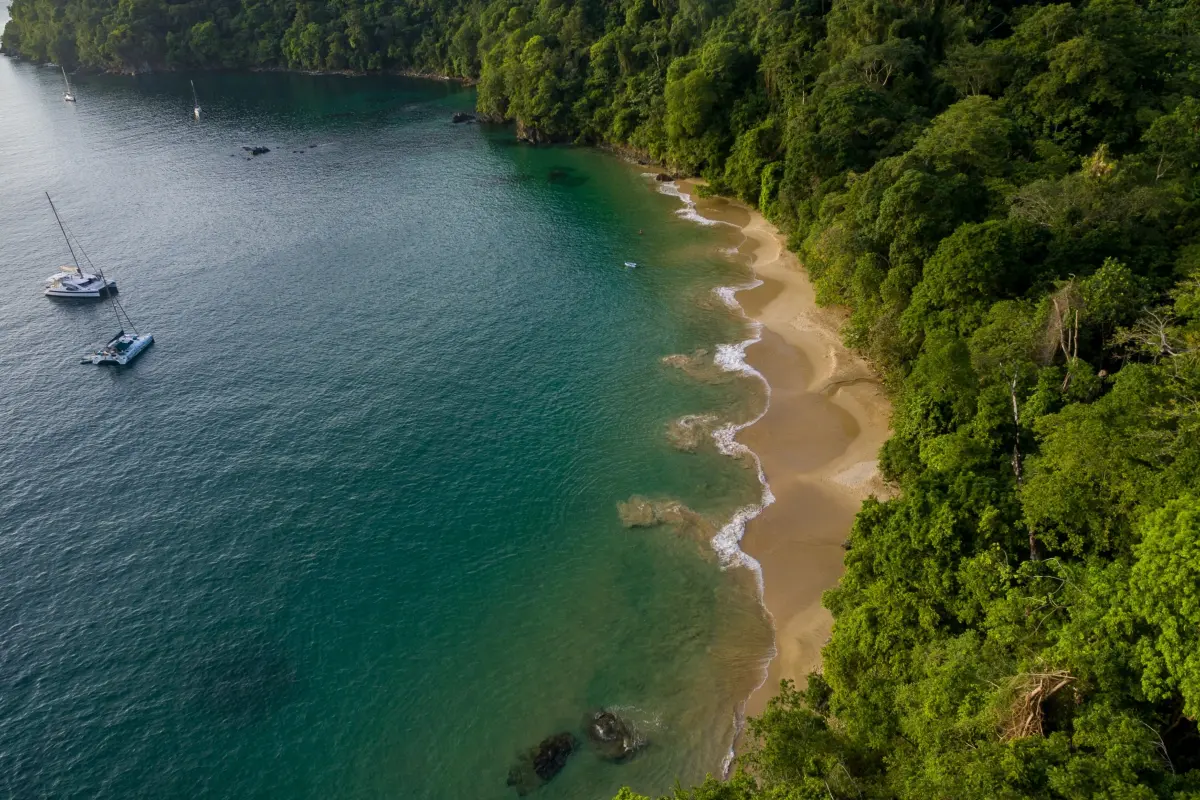  Image of Land for Resort Development for sale in Tobago-Charlotteville-St Vincent and the Grenadines, Image 9