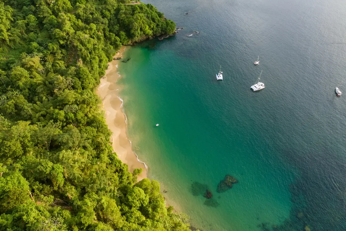 Image of Land for Resort Development for Sale in Tobago-Charlotteville-St Vincent and the Grenadines, Image 1