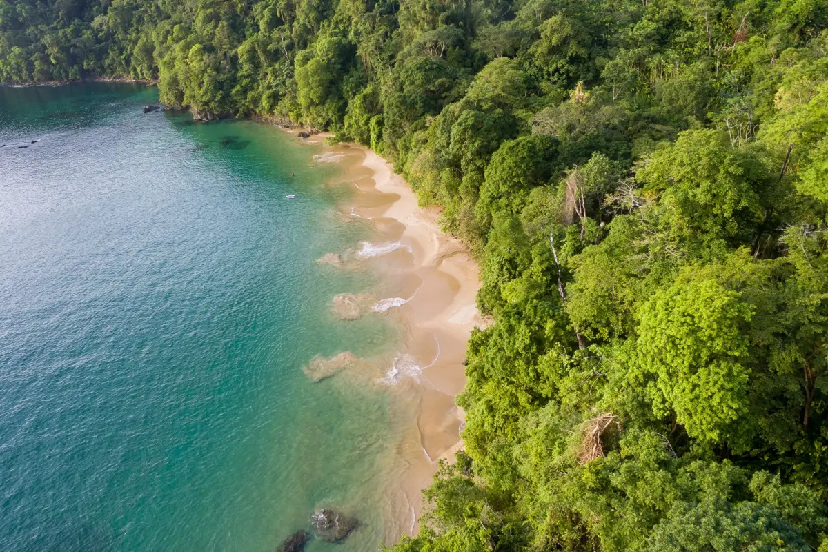  Image of Land for Resort Development for sale in Tobago-Charlotteville-St Vincent and the Grenadines, Image 10