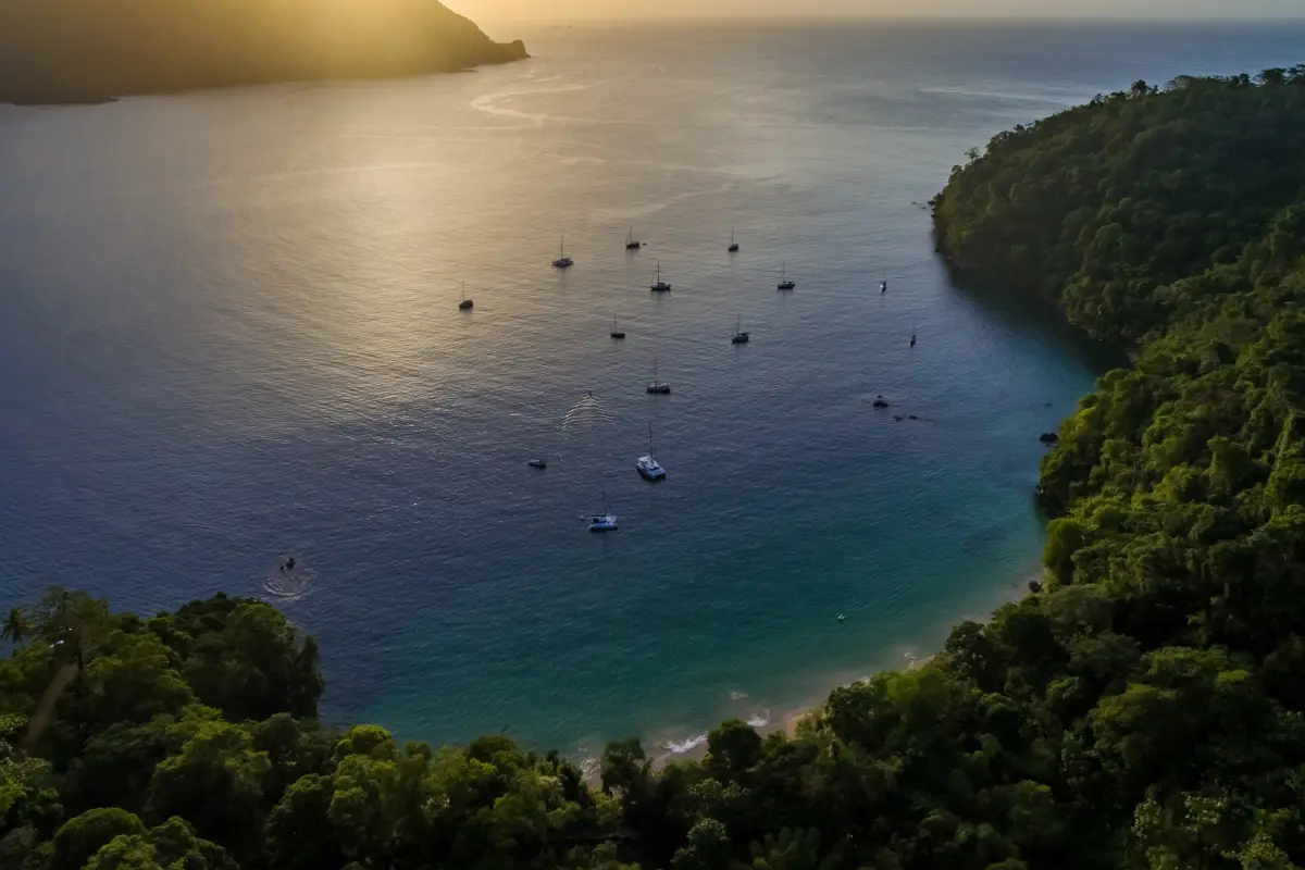  Image of Land for Resort Development for sale in Tobago-Charlotteville-St Vincent and the Grenadines, Image 8