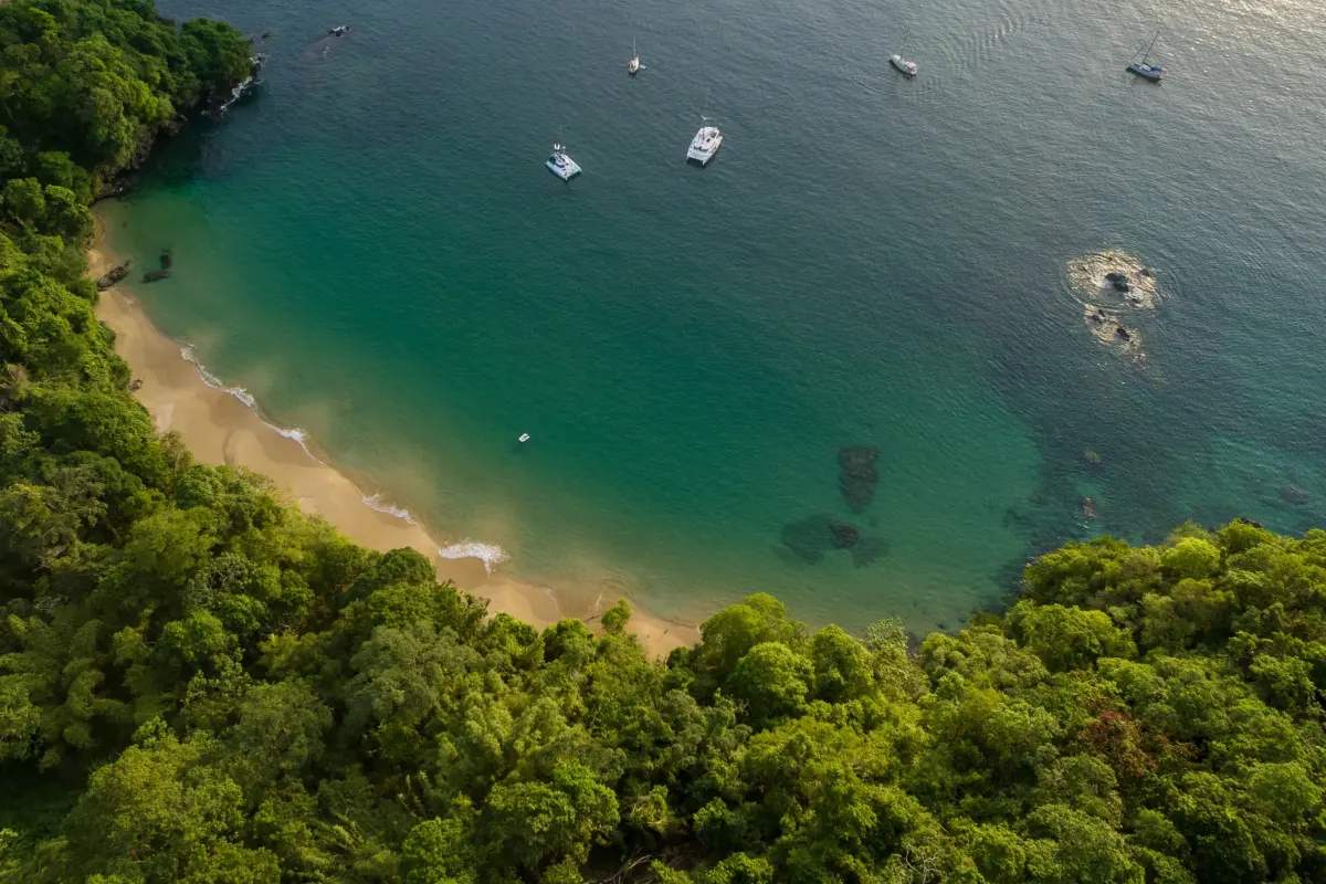  Image of Land for Resort Development for sale in Tobago-Charlotteville-St Vincent and the Grenadines, Image 11