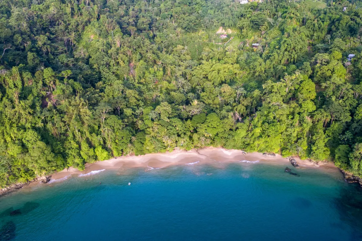  Image of Land for Resort Development for sale in Tobago-Charlotteville-St Vincent and the Grenadines, Image 12