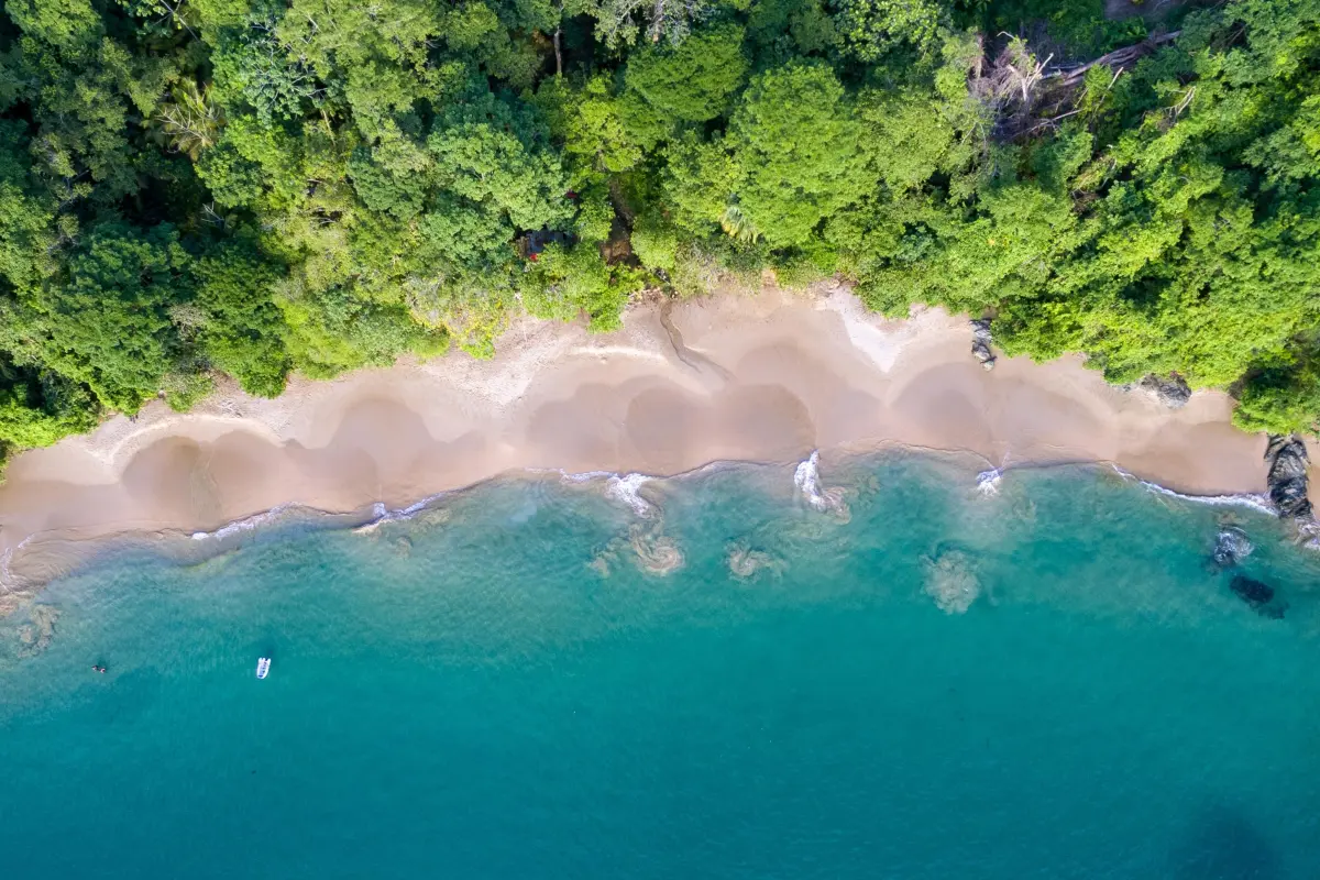  Image of Land for Resort Development for sale in Tobago-Charlotteville-St Vincent and the Grenadines, Image 13