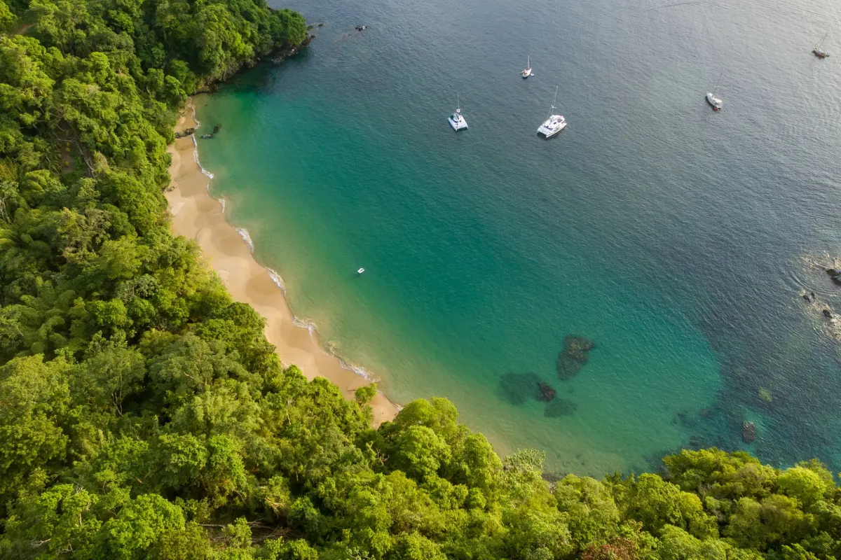  Image of Land for Resort Development for sale in Tobago-Charlotteville-St Vincent and the Grenadines, Image 14