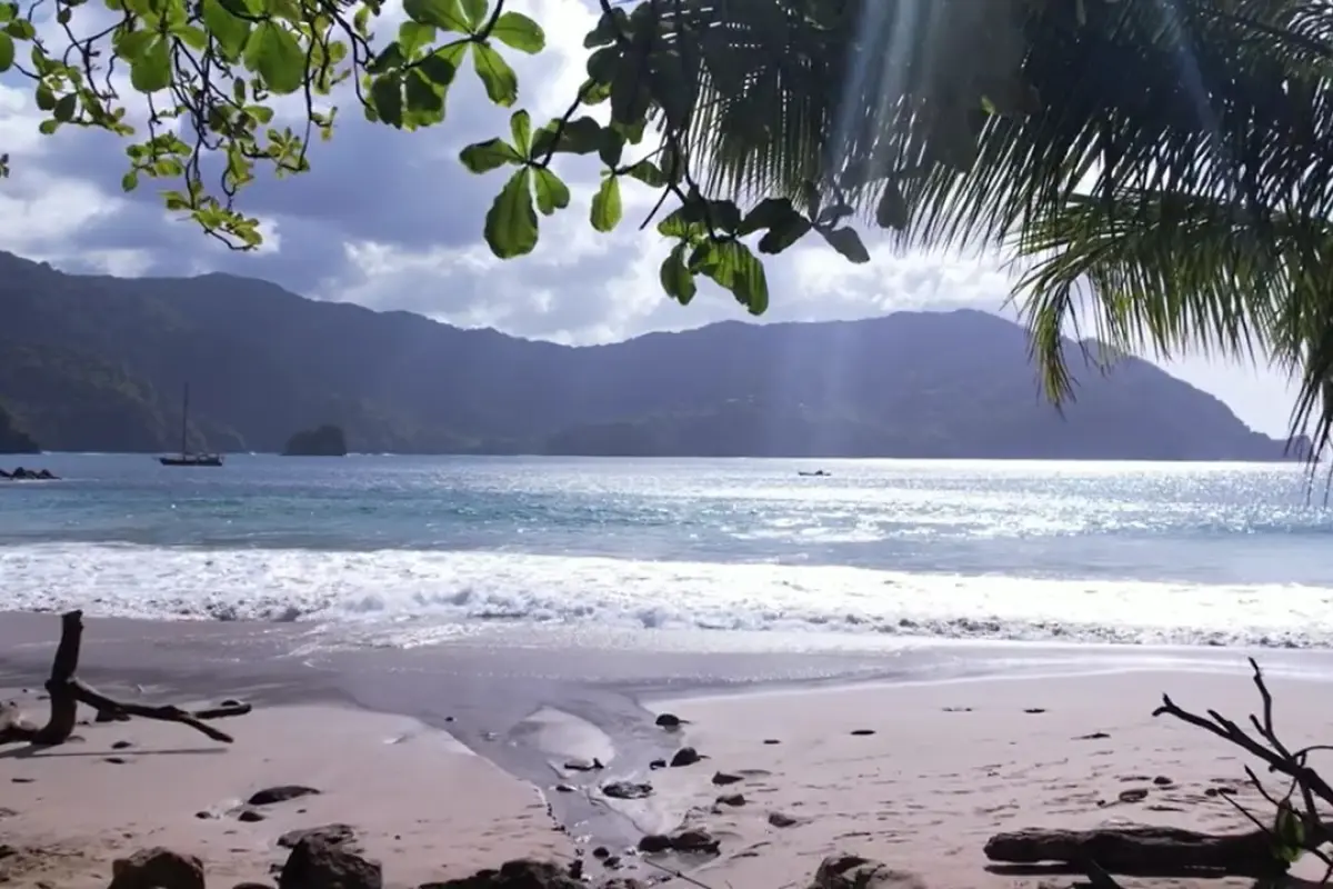  Image of Land for Resort Development for sale in Tobago-Charlotteville-St Vincent and the Grenadines, Image 6