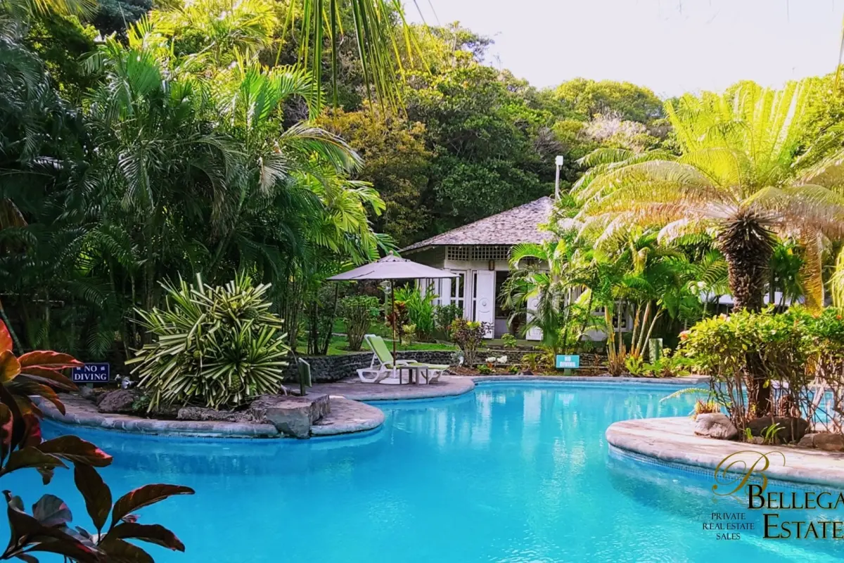  Image of Resorts & Private Islands for sale in Young Island-Young Island-St Vincent and the Grenadines, Image 16
