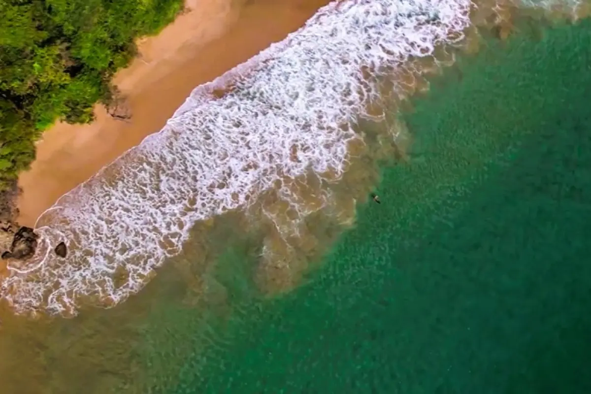 Image of Land for Resort Development for Sale in Tobago-Charlotteville-St Vincent and the Grenadines, Image 3