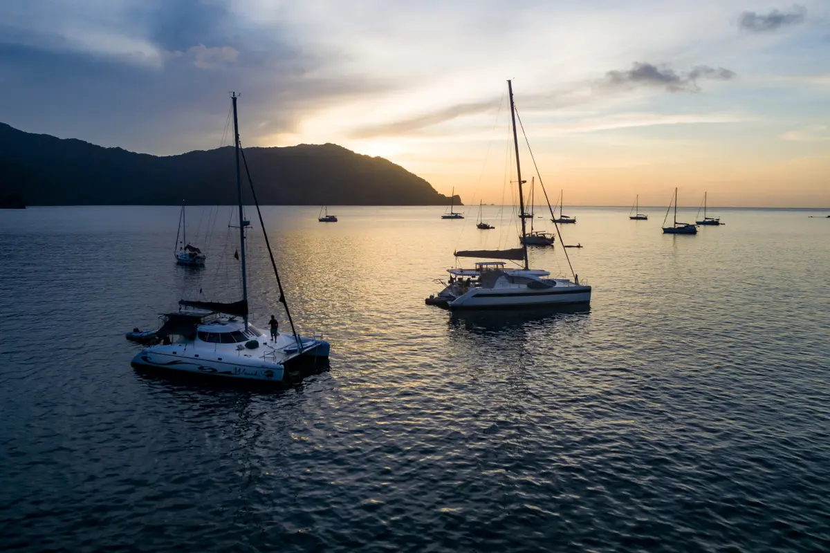  Image of Land for Resort Development for sale in Tobago-Charlotteville-St Vincent and the Grenadines, Image 7