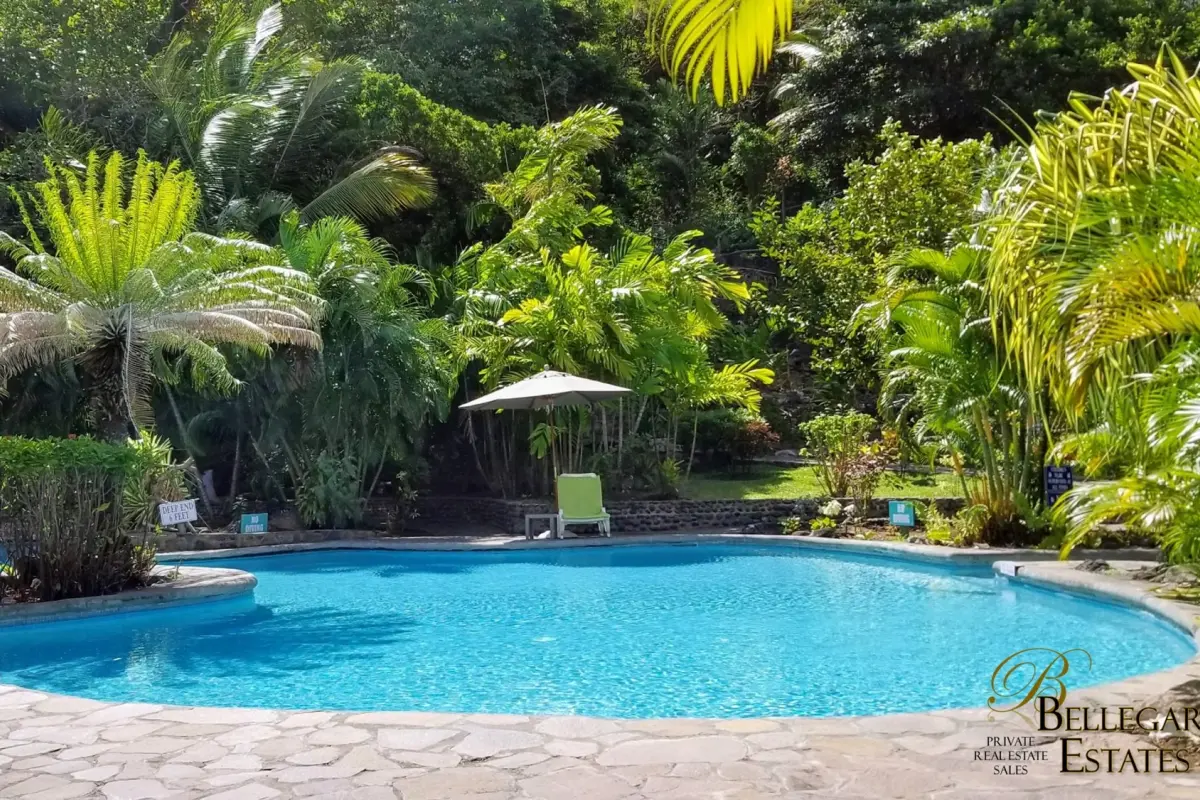  Image of Resorts & Private Islands for sale in Young Island-Young Island-St Vincent and the Grenadines, Image 17