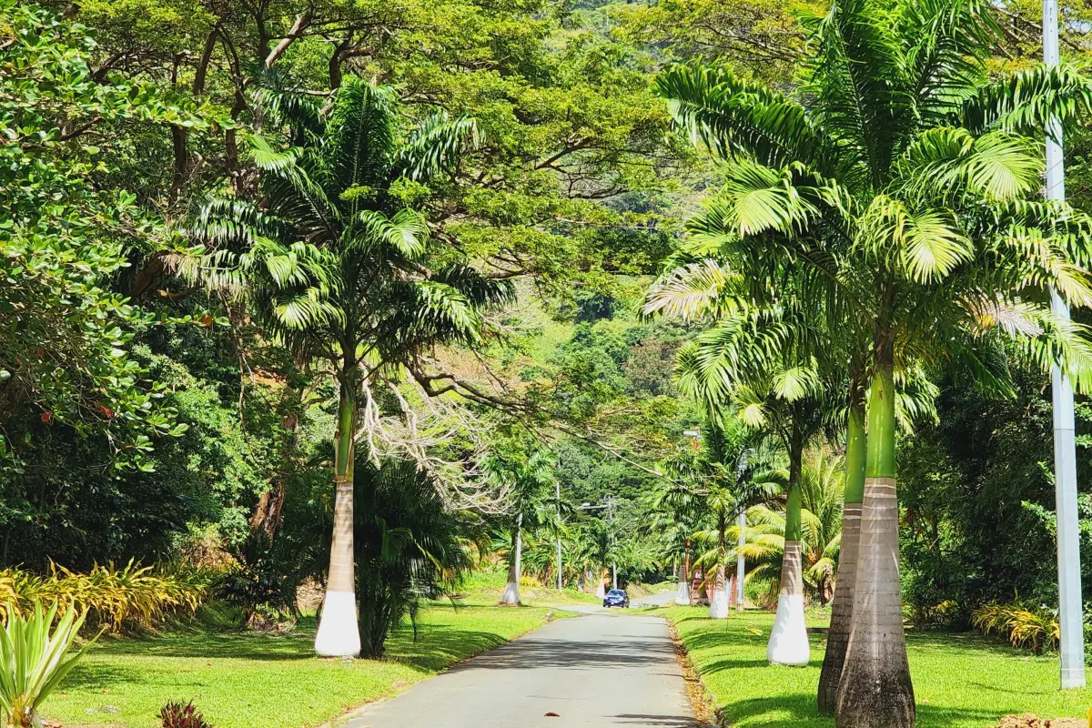 Image of Land for Resort Development for Sale in Tobago-St. Paul-St Vincent and the Grenadines, Image 3