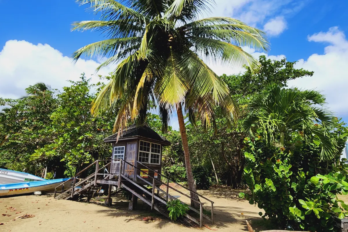 Image of Land for Resort Development for Sale in Tobago-St. Paul-St Vincent and the Grenadines, Image 5