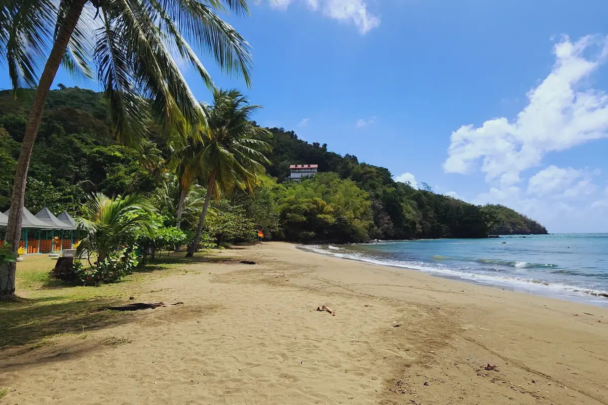  Image of Land for Resort Development for sale in Tobago-St. Paul-St Vincent and the Grenadines, Image 8