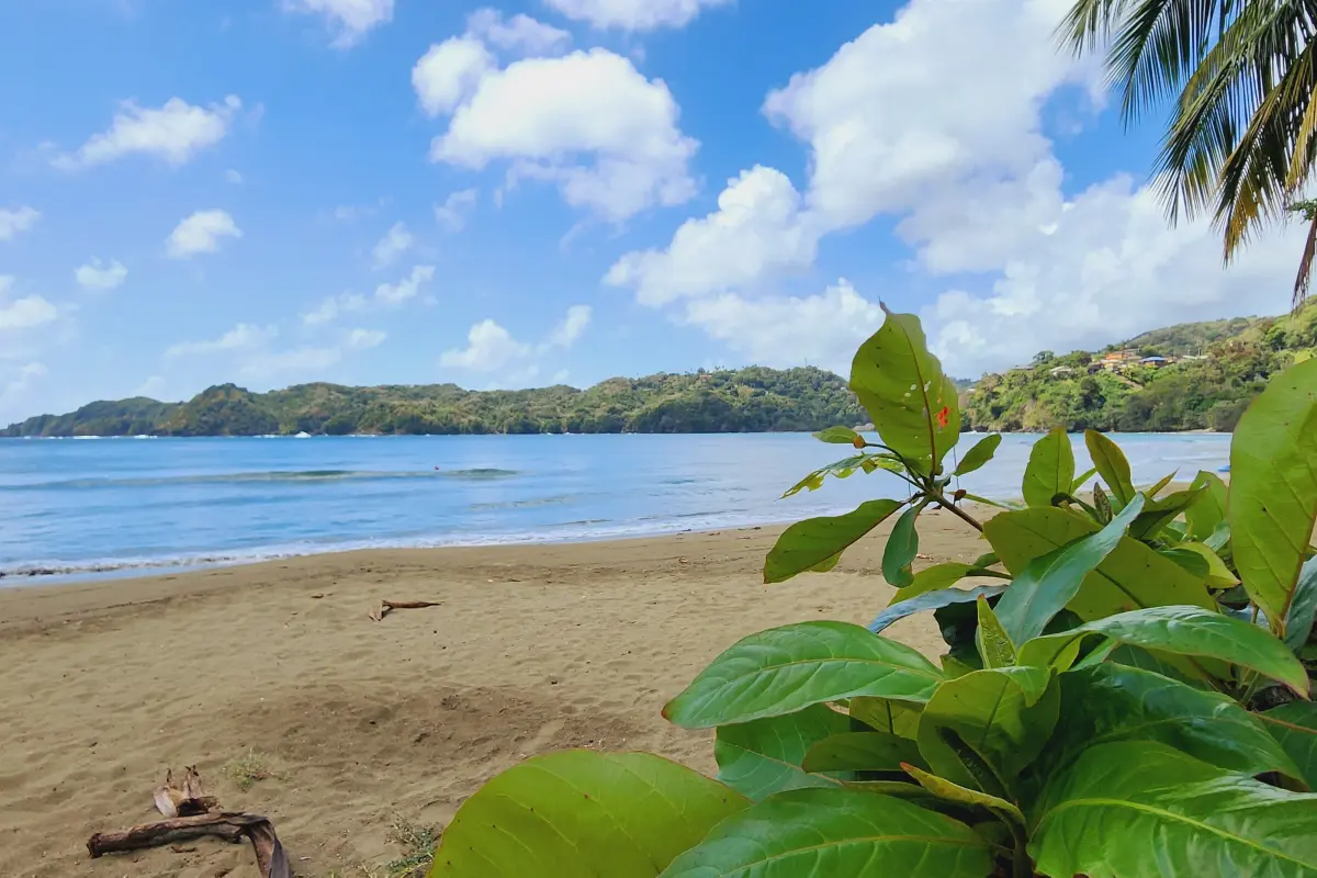  Image of Land for Resort Development for sale in Tobago-St. Paul-St Vincent and the Grenadines, Image 9