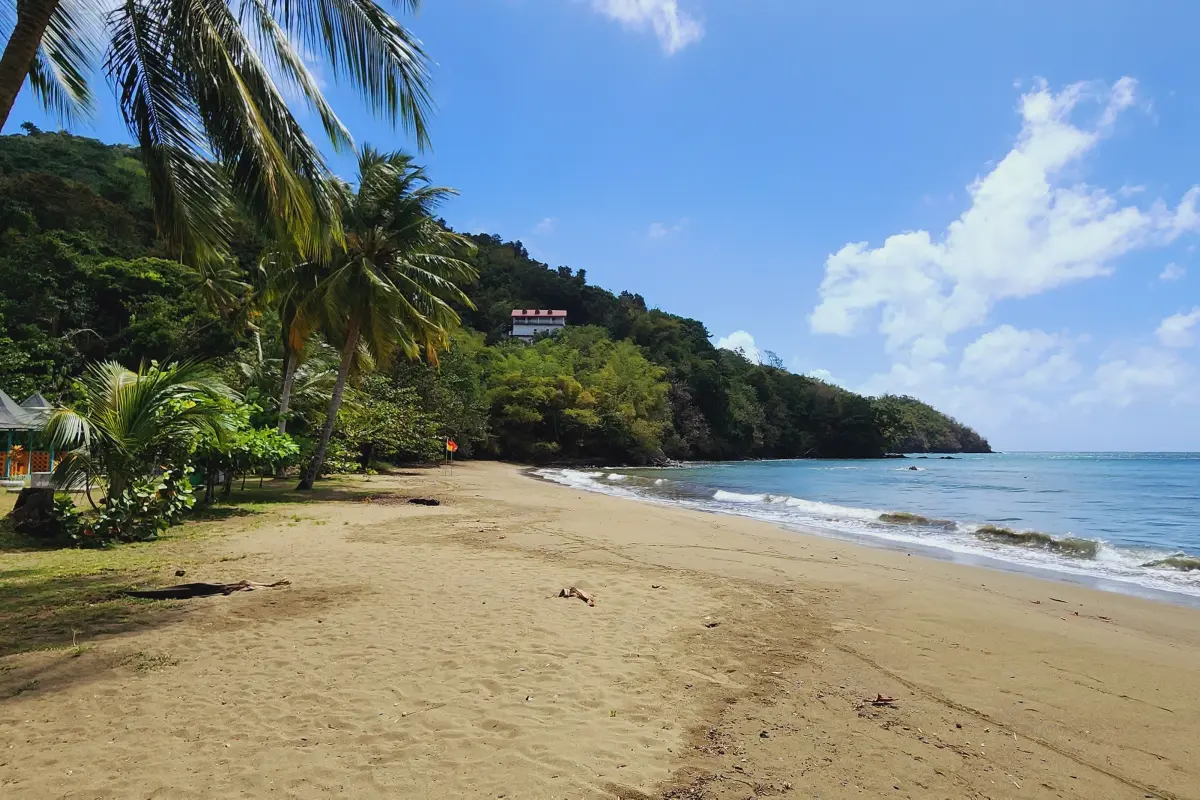  Image of Land for Resort Development for sale in Tobago-St. Paul-St Vincent and the Grenadines, Image 11