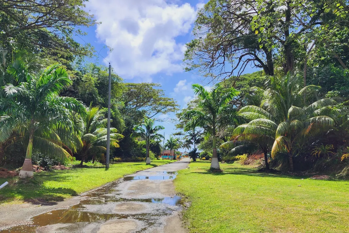  Image of Land for Resort Development for sale in Tobago-St. Paul-St Vincent and the Grenadines, Image 12