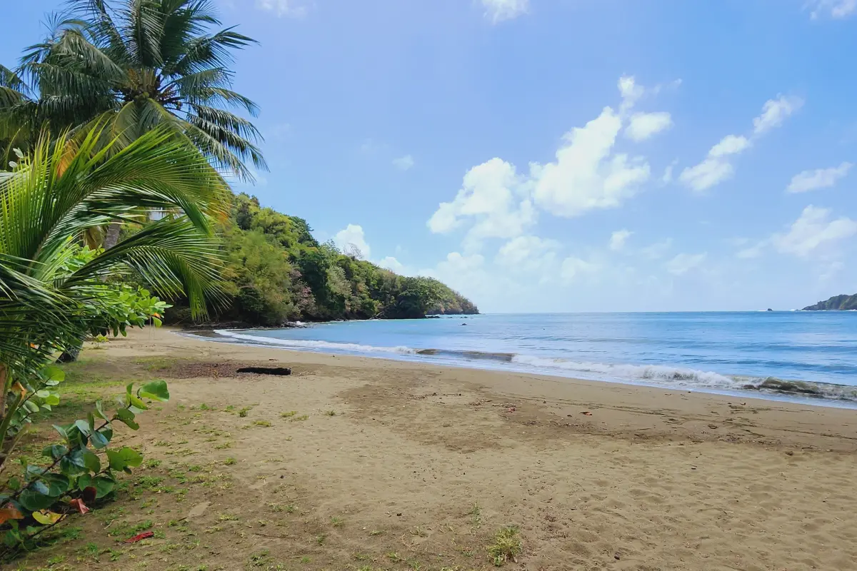  Image of Land for Resort Development for sale in Tobago-St. Paul-St Vincent and the Grenadines, Image 13