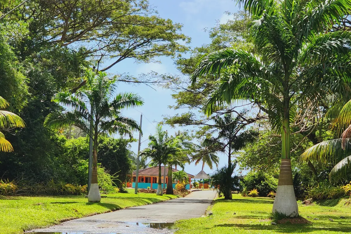 Image of Land for Resort Development for sale in Tobago-St. Paul-St Vincent and the Grenadines, Image 14