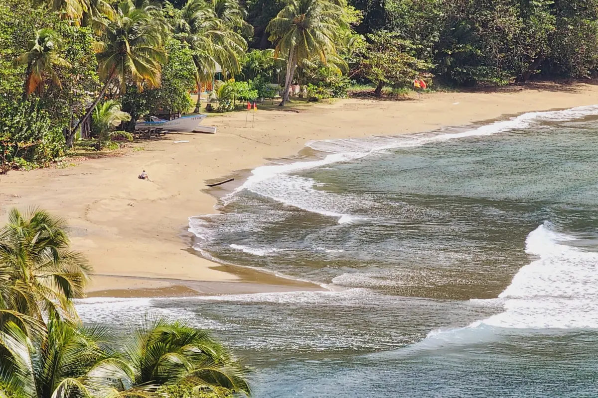  Image of Land for Resort Development for sale in Tobago-St. Paul-St Vincent and the Grenadines, Image 22