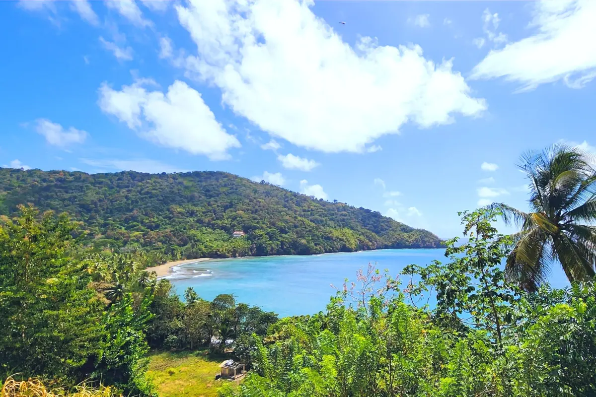  Image of Land for Resort Development for sale in Tobago-St. Paul-St Vincent and the Grenadines, Image 33