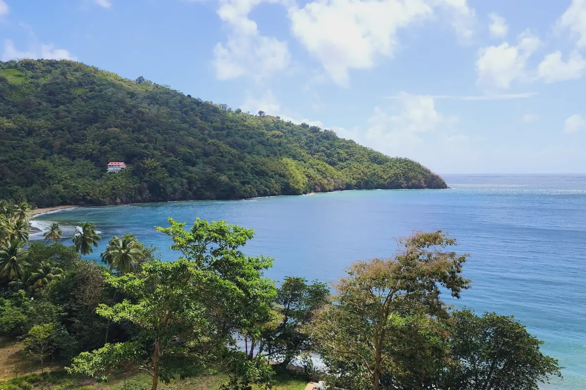  Image of Land for Resort Development for sale in Tobago-St. Paul-St Vincent and the Grenadines, Image 34