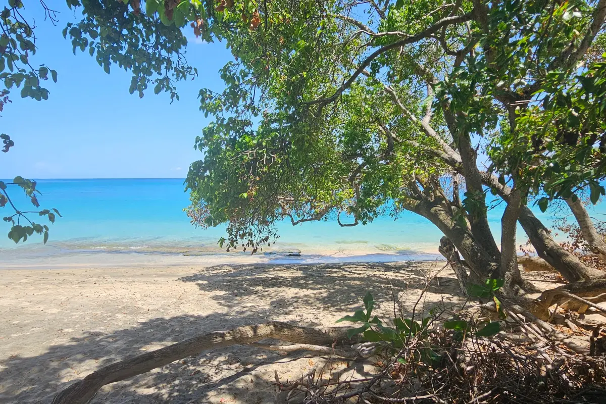 Image of Luxury Homes - 4 Bedrooms - 2 Bathrooms for Sale in Bequia-Lower Bay-St Vincent and the Grenadines, Image 5