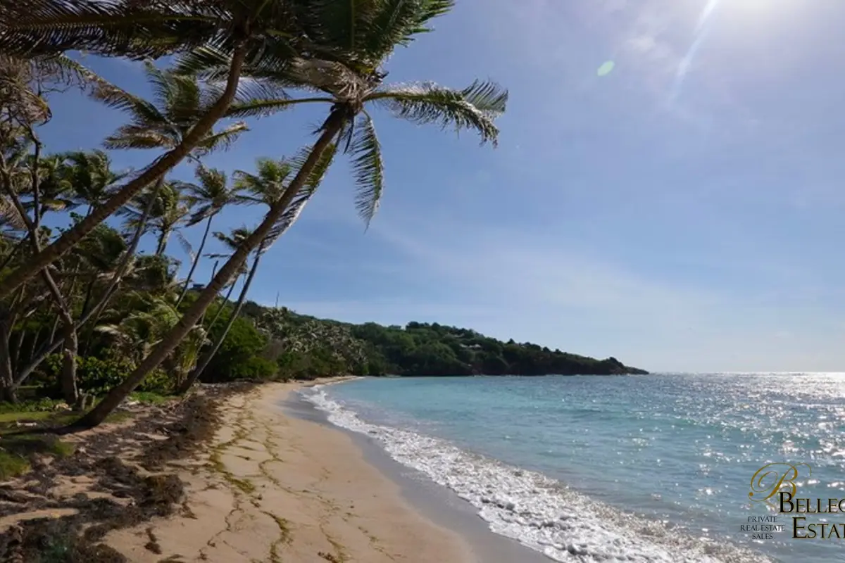  Image of Luxury Homes - 3 Bedrooms - 4 Bathrooms for sale in Bequia-Crescent Bay-St Vincent and the Grenadines, Image 28