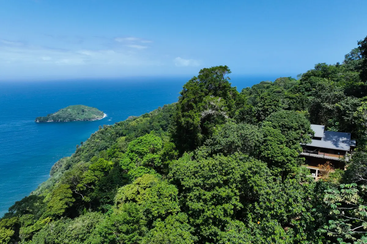  Image of Luxury Homes - 3 Bedrooms - 3 Bathrooms for sale in Trinidad-Hills of Paramin-St Vincent and the Grenadines, Image 19