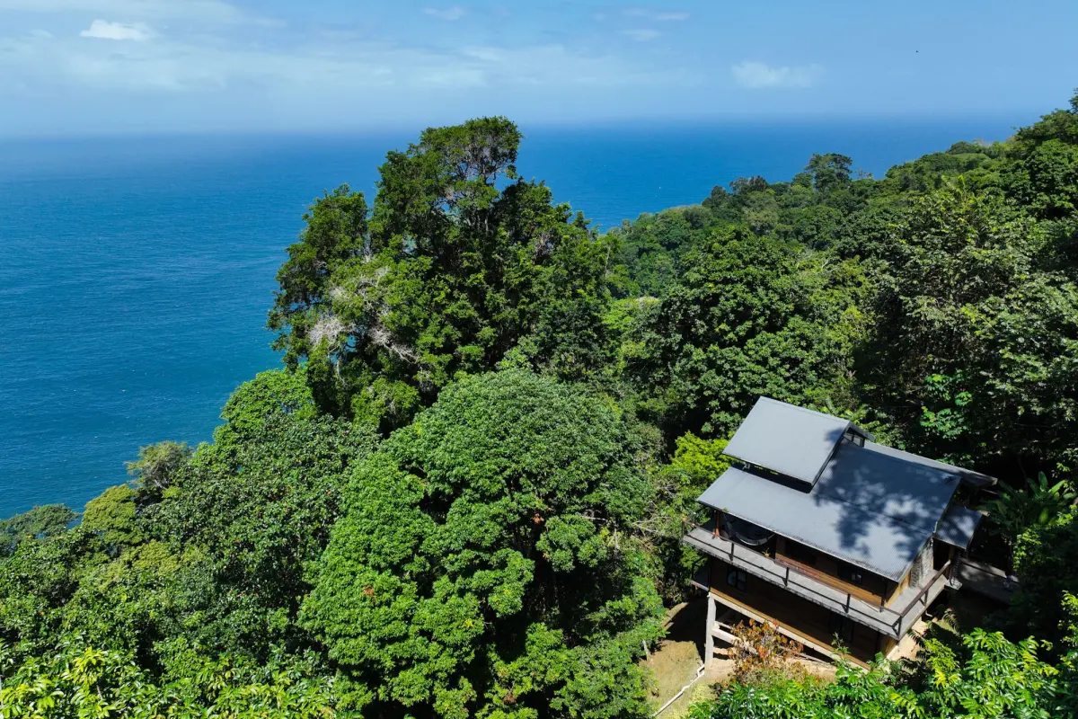  Image of Luxury Homes - 3 Bedrooms - 3 Bathrooms for sale in Trinidad-Hills of Paramin-St Vincent and the Grenadines, Image 20