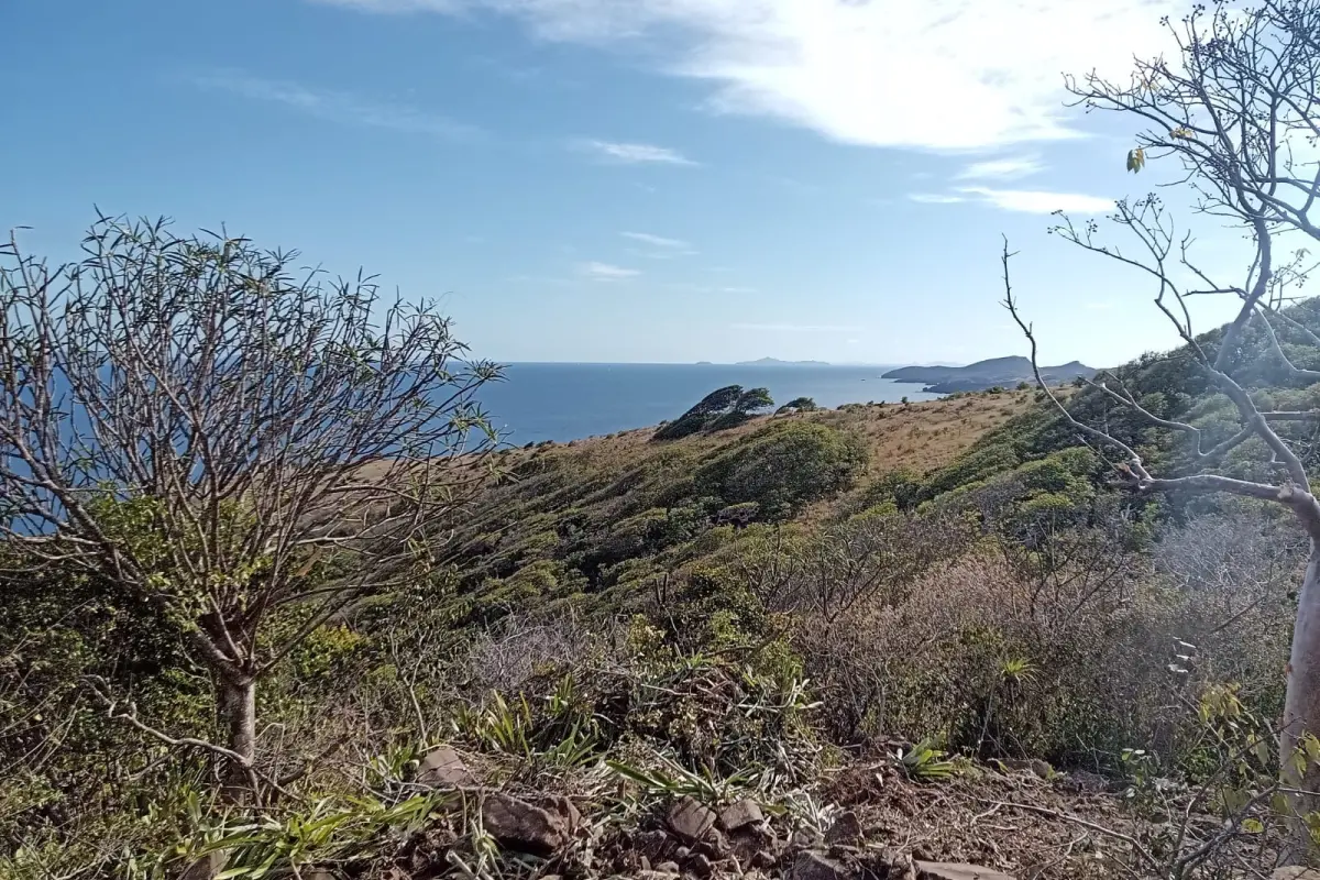 Image of Land for Your Dream Villa for Sale in Bequia-Mount Pleasant-St Vincent and the Grenadines, Image 2