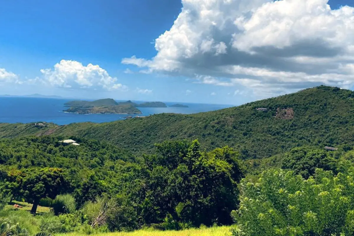  Image of Luxury Homes - 2 Bedrooms - 1 Bathrooms for sale in Bequia-Mount Pleasant-St Vincent and the Grenadines, Image 12