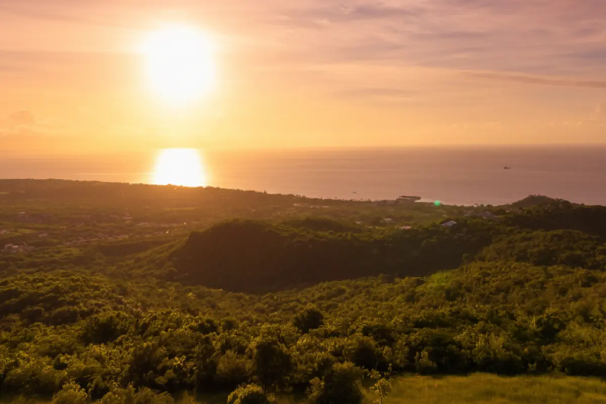  Image of Land for Resort Development for sale in Nevis-Spring Hill-St Vincent and the Grenadines, Image 6