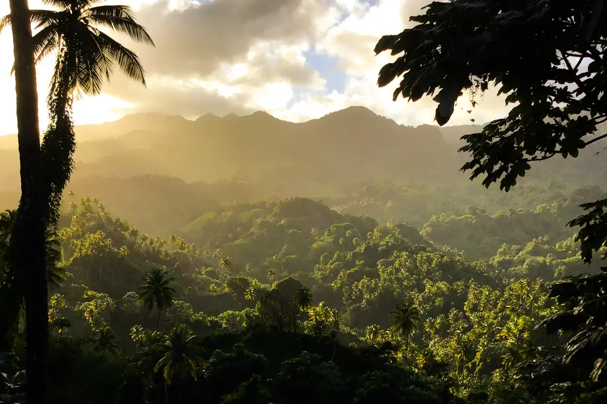 Image of Land for Resort Development for Sale in St. Vincent-Byrea-St Vincent and the Grenadines, Image 1