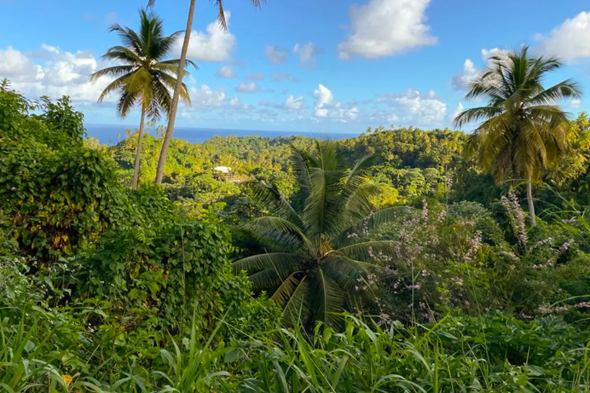 Image of Land for Resort Development for Sale in St. Vincent-Byrea-St Vincent and the Grenadines, Image 3