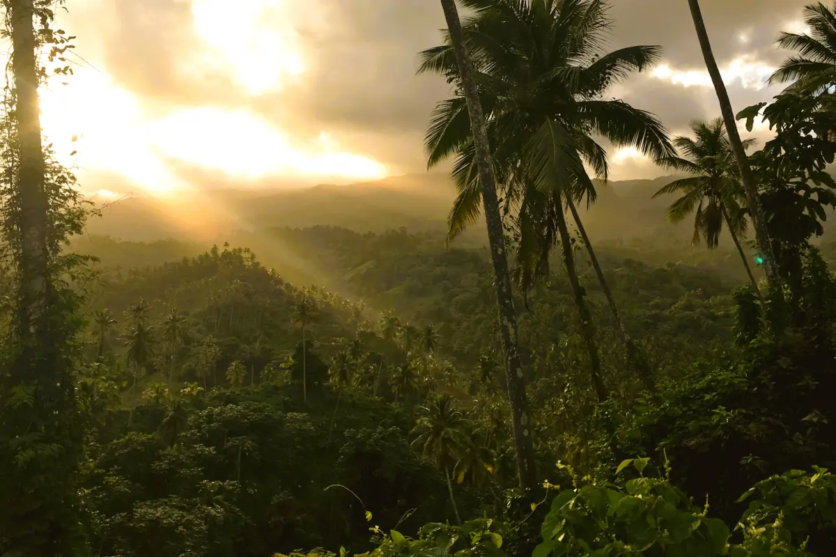 Image of Land for Resort Development for Sale in St. Vincent-Byrea-St Vincent and the Grenadines, Image 5