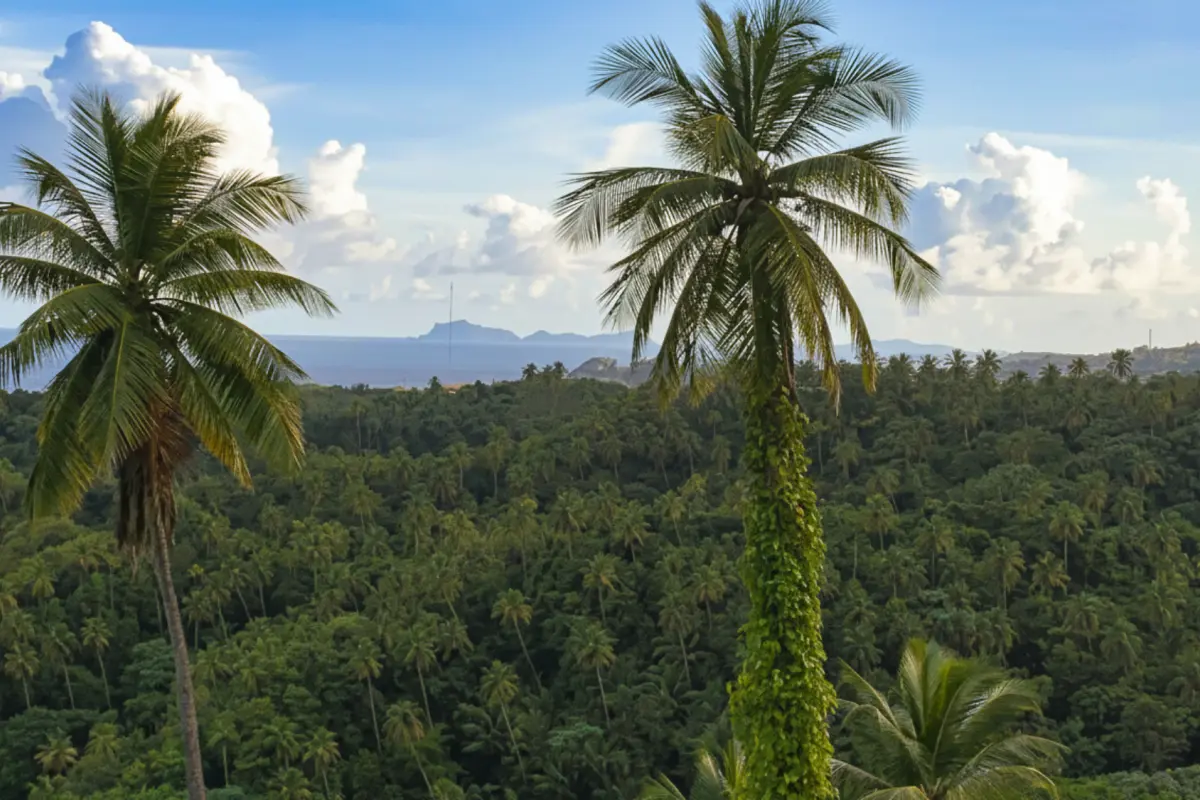  Image of Land for Resort Development for sale in St. Vincent-Byrea-St Vincent and the Grenadines, Image 6