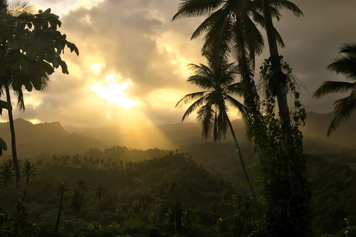  Image of Land for Resort Development for sale in St. Vincent-Byrea-St Vincent and the Grenadines, Image 7