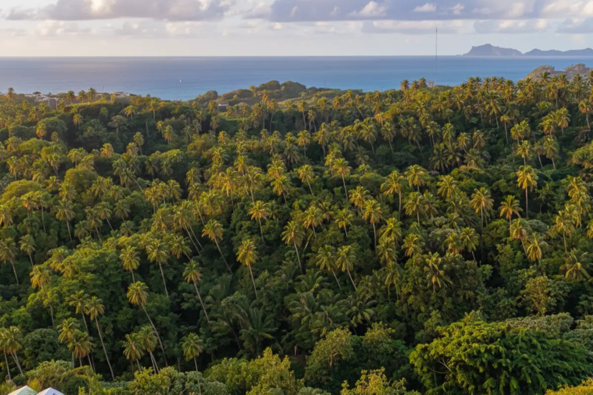  Image of Land for Resort Development for sale in St. Vincent-Byrea-St Vincent and the Grenadines, Image 8
